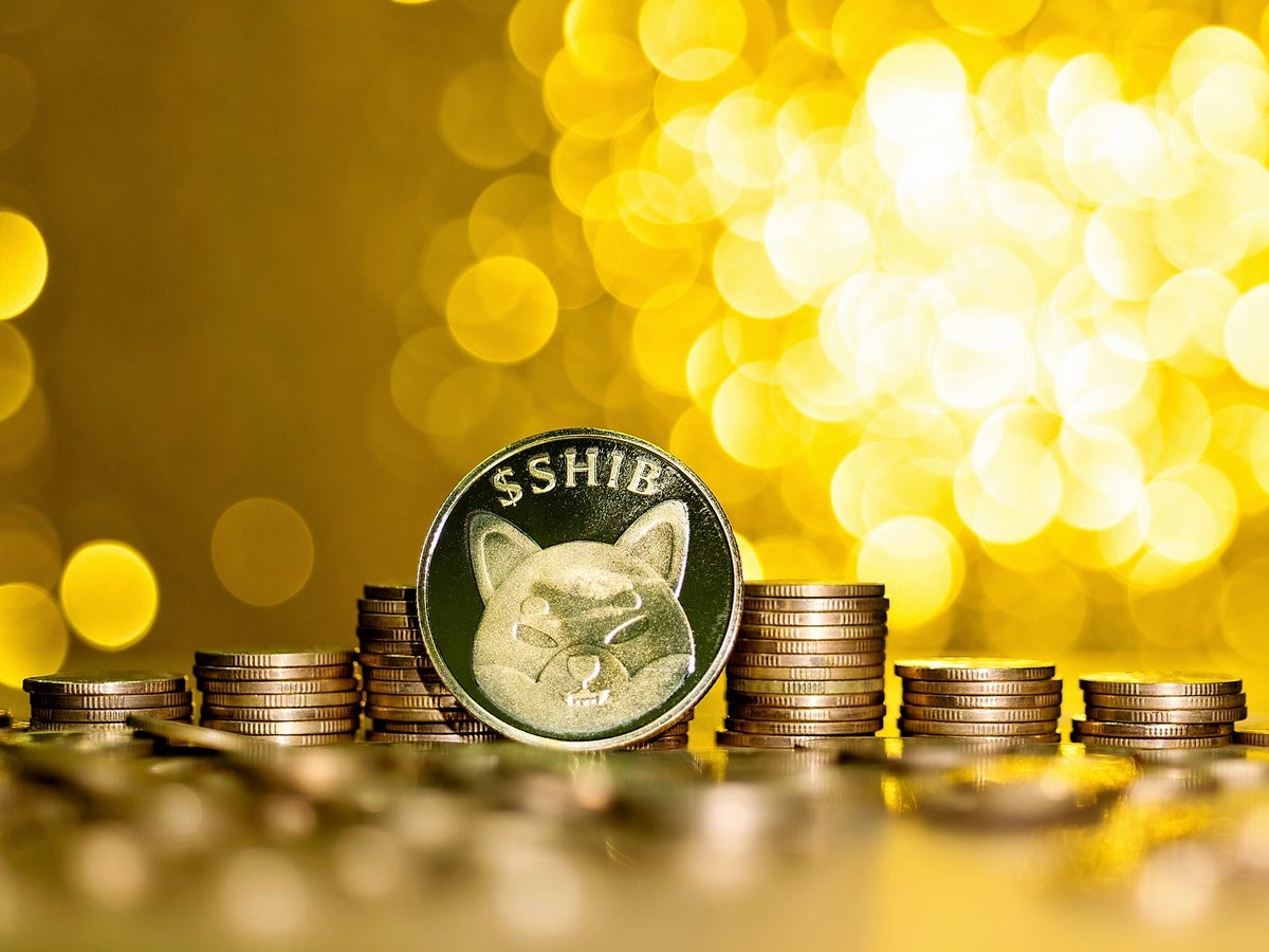 Shib coin price